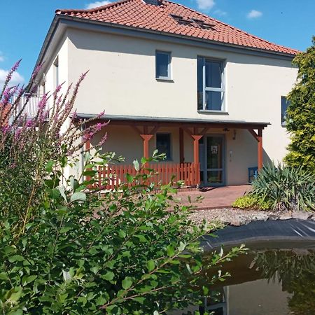 Ferienwohnung Toelle Bad Rehburg Esterno foto