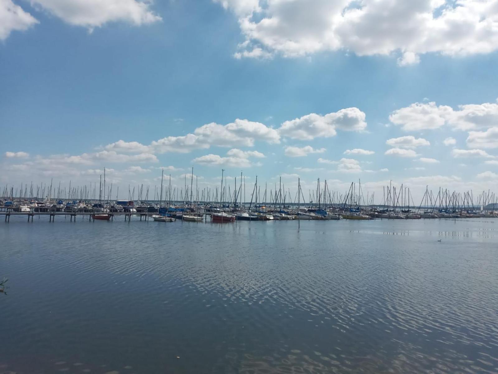 Ferienwohnung Toelle Bad Rehburg Esterno foto